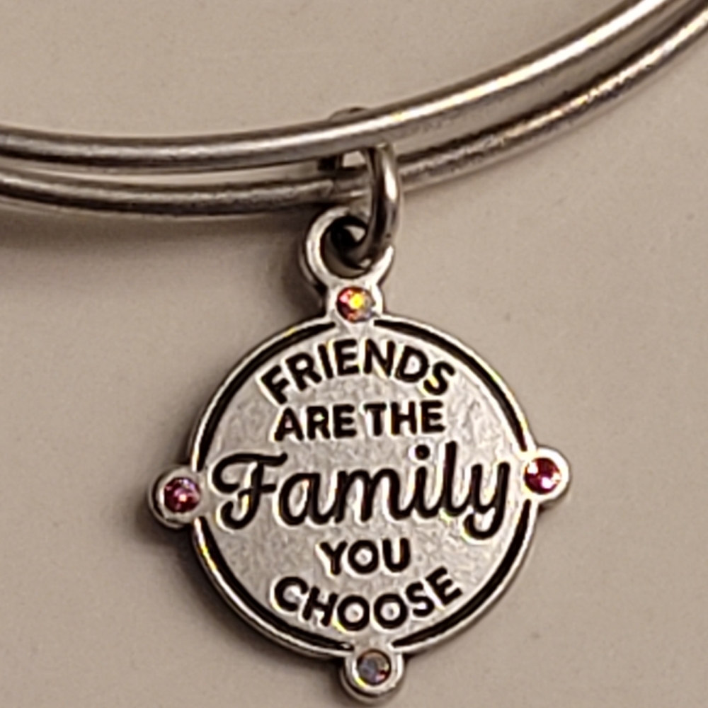Alex & Ani Friends Are The Family You Choose Charm Bangle Bracelet Silver-tone - Picture 6 of 16